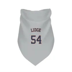 Houston Astros Brad Lidge Gray Pet Bandana for Dog & Cat