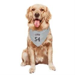 Houston Astros Brad Lidge Gray Pet Bandana for Dog & Cat