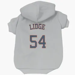 Houston Astros Brad Lidge Gray Pet Hoodie for Dog & Cat