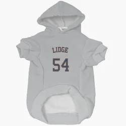 Houston Astros Brad Lidge Gray Pet Hoodie for Dog & Cat