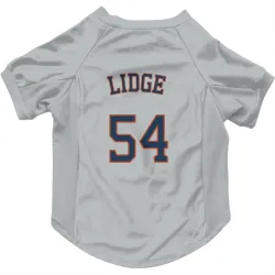 Houston Astros Brad Lidge Gray Pet Jersey for Dog & Cat
