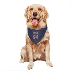 Houston Astros Brad Lidge Navy Pet Bandana for Dog & Cat
