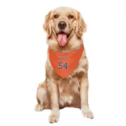 Houston Astros Brad Lidge Orange Pet Bandana for Dog & Cat