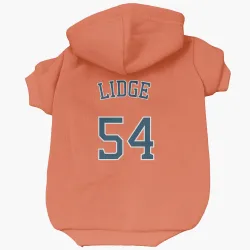 Houston Astros Brad Lidge Orange Pet Hoodie for Dog & Cat