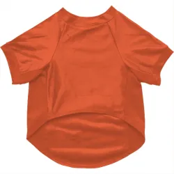 Houston Astros Brad Lidge Orange Pet Jersey for Dog & Cat