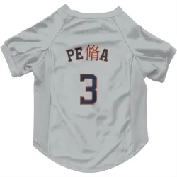 Houston Astros Jeremy Pena Gray Pet Jersey for Dog & Cat