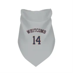 Houston Astros Shay Whitcomb Gray Pet Bandana for Dog & Cat