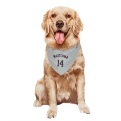 Houston Astros Shay Whitcomb Gray Pet Bandana for Dog & Cat