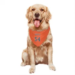 Houston Astros Tayler Scott Orange Pet Bandana for Dog & Cat